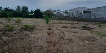 ÁN ĐẤT VƯỜN, GIÁ ĐẦU TƯ, ẤP TÂN QUỚI ĐÔNG,  XÃ TRƯỜNG AN