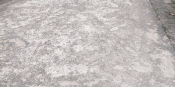 Cần bán gấp nhà sân vườn tuyệt đẹp, đang kinh doanh quán cafe tại Xuân Tâm