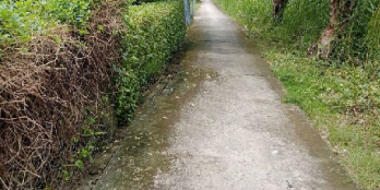 Tôi cần bán đất chồng cây lâu năm..lộ 2m..