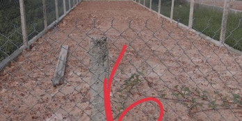 Buồn buồn bán nhanh 4 lô đất khu QHDC thôn Trung Định cho nhà đầu tư