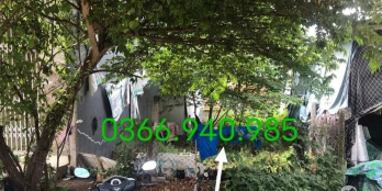 Bán nhanh lô đất cách chợ Lò Rèn Đập Đá An Nhơn khhu vị trí đắc địa cho ac