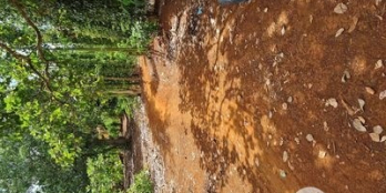 Đất đất gần chợ bàu lâm xuyên mộc BRVT 3.000m2