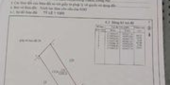 SANG LẠI THUA ĐẤT MẶT TIÊN MX - NG 18 X 64 (1183)