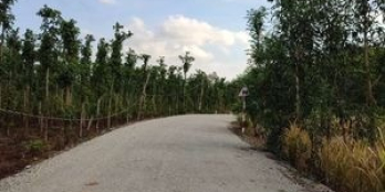 5*28, 100tc_ gần khu dân cư, nhựa gần chợ