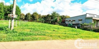 Đất Thành phố Bà Rịa 550m² -100tc- đườngnhựa