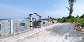 Đất Huyện Đất Đỏ 1.200m²- có tường rào kiên cố