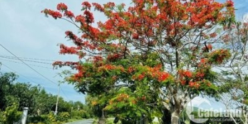 Đất xã Long Mỹ-118m2-100tc-dg bê tông 6m view đep