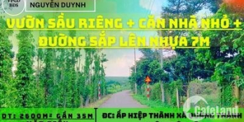 Bán Lô Đất | Vườn Sầu Riêng| Tại Xã Quảng Thành