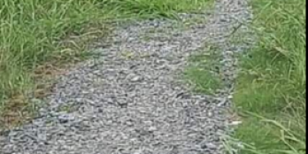 Cần bán gấp 4000m2 đất ruộng, giá: 230tr/1000m2.