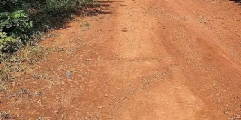 Cần bán đất Mặt tiền chính đường tránh phía tây TP Bảo Lôc