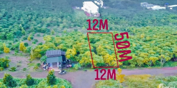 bán rẻ lô đất tại HẺM VĂN CAO, LỘC PHÁT, BẢO LỘC S: 12x50  Gia bán: 1,2 tỷ bớt