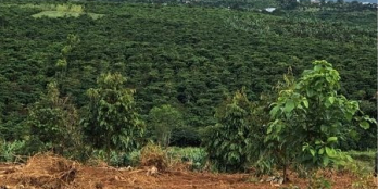 đất triền nhẹ giáp suối nhỏ, view nhìn toàn cảnh rất đẹp, thích hợp làm nghỉ dưỡ