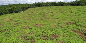 cần bán án 1ha4 đất hẽm đoàn thị điểm, Lộc Thanh Bảo Lộc