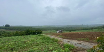 thôn Tứ Quý, xã Lộc An, Bảo Lâm Diện tích: 8x25, 100m2 tc