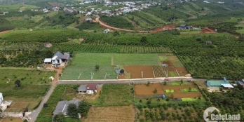 Đất hẻm 01, Phùng Hưng, Lộc Tân Giáp Lộc Tiến, Bảo Lộc Diện tích: 10x59, 150m2 T