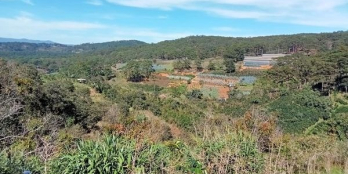 Đất triền nhẹ phù hợp tạo cảnh quan sân vườn làm farmstay, nghỉ dưỡng  ️Giá 1tỷ