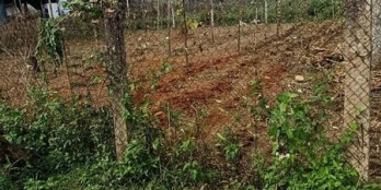 Chính chủ gửi bán lô đất mt hẻm 414 Trân Hưng Đạo