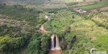 7ha Tân thượng di linh có 2 thác lớn thích hợp mở khu du lịch giá 350tr/sao