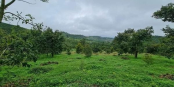 8 Sào hẻm lớn NGUYỄN AN NINH. Cách đường chính 150m.