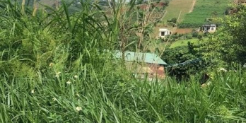 Chính chủ gửi bán lô đất mt hẻm Nguyễn An Ninh Dt: 35*33 qh full tc