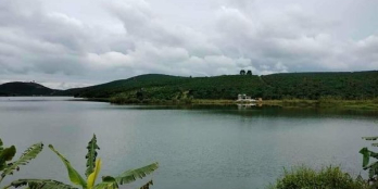 Cần bán gấp lô đất diện tích 2300m2. Có 65m mặt tiền