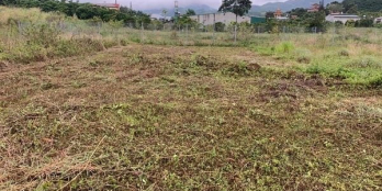 5*28 qh tc hẻm 414 Trần Hưng Đạo  giá 920 buông sổ