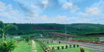 150m đất Bảo lộc view đồi chè, hồ đã ra sổ giá rẻ 810tr