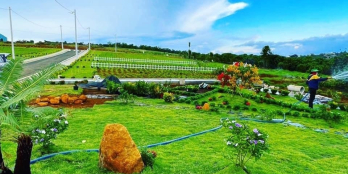 120m2 đất nghỉ dưỡng Bảo Lộc, 80m thổ cư đã có sổ giá 830tr