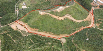 28.000m2 đường đá 6m, ô tô lên tận đỉnh săn mây, giá chỉ 300tr/1000m2 - Vị trí :