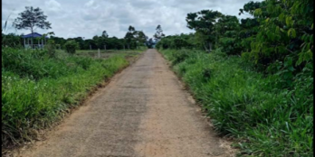 Bán 12 lô F0 chi lăng bảo lộc cách đường tránh 1km 675tr/1lô Cách trung tâm bảo