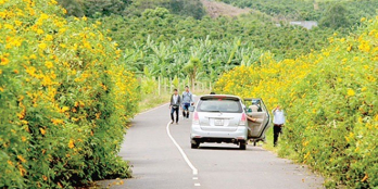 BÁN nhanh lô đất đường Lý Thái Tổ Tp Bảo Lộc giá rẻ vay bank 80%. Sổ sẵn