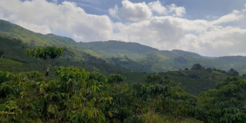 Cần ra lô đất 2 mặt tiền view núi xapung gần các homestay nghỉ dưỡng.