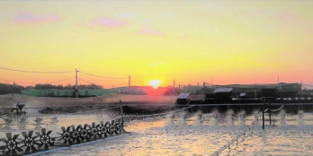 Bán gấp giá rẻ đất trang trại 51.244m2, Bình Đại, Bến Tre