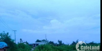 Bán đất trồng cây lâu năm sẵn nền - thích hợp định cư lâu dài hoặc đầu tư