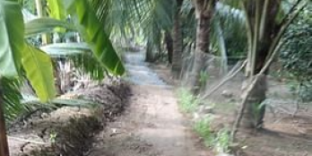 Mặt tiền sông ba lai đag trồng bưởi xã Long Hòa