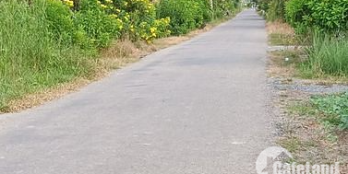 Bán đất mặt tiền đường nhựa ở Ấp Hưng Nhơn,Châu Hưng,Bình Đại,Bến Tre