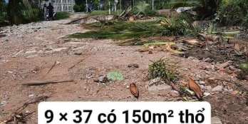 Cặp nền lộ nhựa Thành Trung - Tân Thành giá siêu ưu đãi cho nhà đầu tư