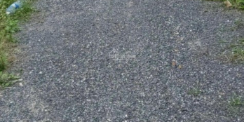 Cần việc bán gấp 2 lô đất đẹp cạnh Quốc lộ 1A, xã Lý Trạch, Bố Trạch, Quảng Bình