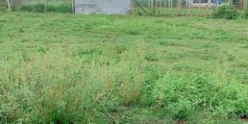 cần bán 1 lô đất đẹp, bằng phẳng, nở hậu, thuộc hẻm cấp 1 đường Ywang