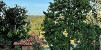 CẦN BÁN ĐẤT ĐẠT LÝ ĐƯỜNG 11A -CÁCH CHỢ ĐẠT LÝ 800M