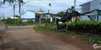 CẦN BÁN LÔ ĐẤT Ở HÒA THẮNG-TPBMT-DAKLAK