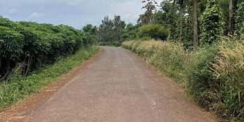 3 lô liền kề đường nhựa quy hoạch rộng 16m - Phường Khánh Xuân gần Hồ Ông Ngãi