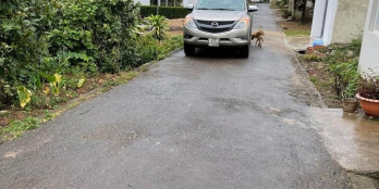 CẦN BÁN Đất phường #khánh_xuân Diện tích: 8 x 36m