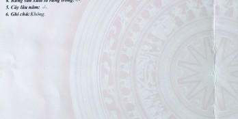 CHÍNH CHỦ CẦN BÁN LÔ ĐẤT MẶT TIỀN ĐINH TIỀN HOÀNG - CAM LÂM - KHÁNH HOÀ