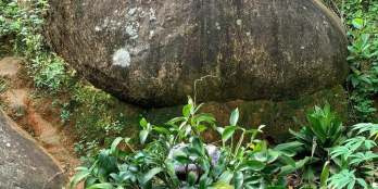 Cần bán 1 nền thị trấn Long giao 5*25 tc khu dân cư gan ql 56 gia 900tr