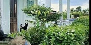 Bán gấp lô đất 15x25m full thổ cư sẵn nhà cấp 4 giá 950 triệu