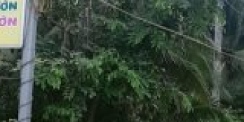 Chính chủ bán đất vườn tại DT 743, xã Hữu Định, huyện Châu Thành, tỉnh Bến Tre