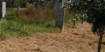 bán đất nền mặt tiền lộ nhựa huỳnh tấn phát