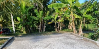 Đất nến Giao long gần kcn Giao long giá rẻ đường xe taxi đến đất