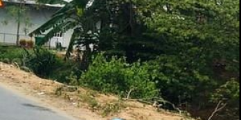 Đất mặt tiền 100% thổ cư sát bên Kcn Giao Long